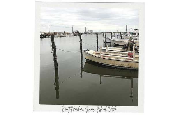 saxis island va boat harbor