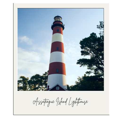 Visit the Assateague Island Lighthouse