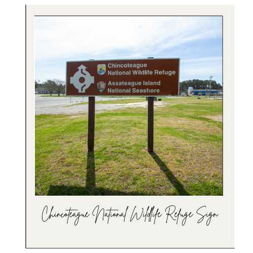 Chincoteague National Wildlife Refuge Sign - Photo by Rick Huey
