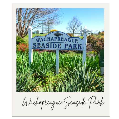 Enjoy fun and activities at the Wachapreague Seaside Park is located next to the Wachapreague Inn