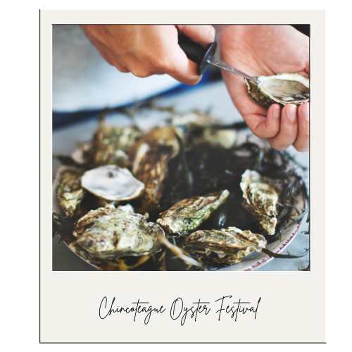 chincoteague oyster festival is held during the first week in October. This year, it is held on October 7, 2023, and Tom's Cove Park