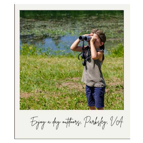 Spend the day hiking and walking on one of the many nature refuges nearby. Parksley VA Travel Guide