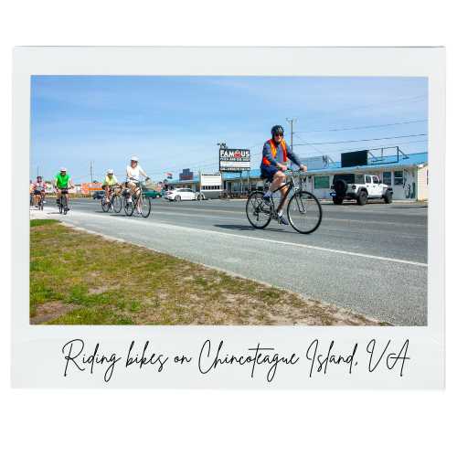 cycling on chincoteague island