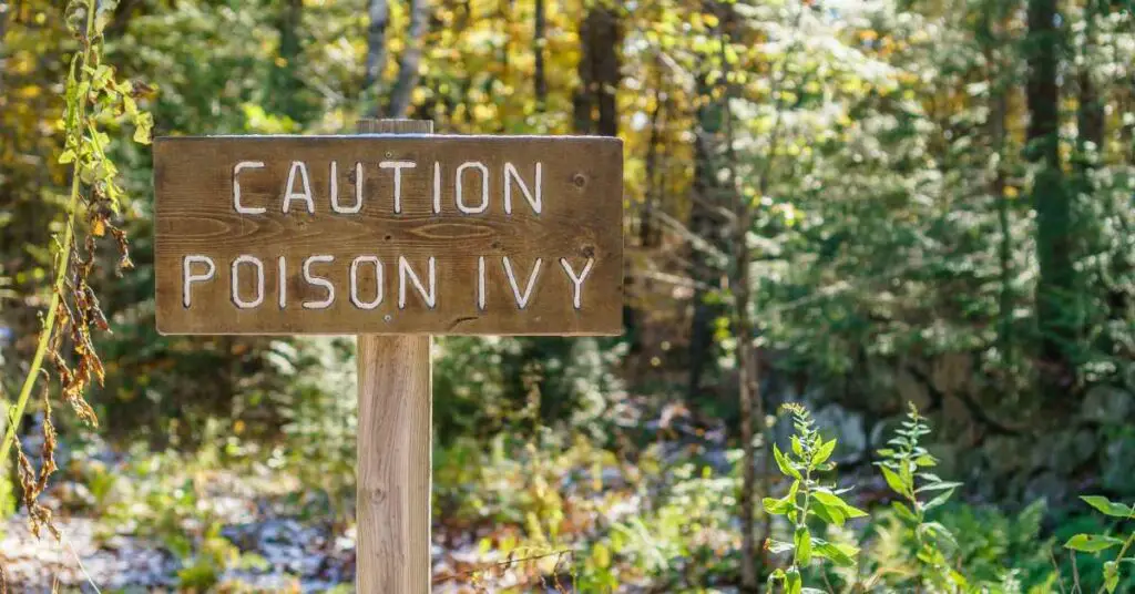 How to Clean Poison Ivy Off Clothes Discover ESVA