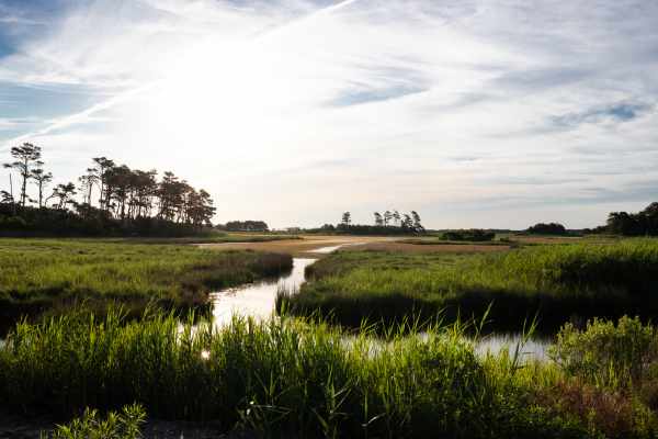 Chincoteague Island National Wildlife Refuge