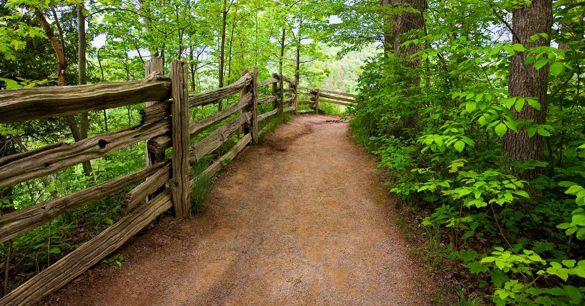 difference between walking and hiking